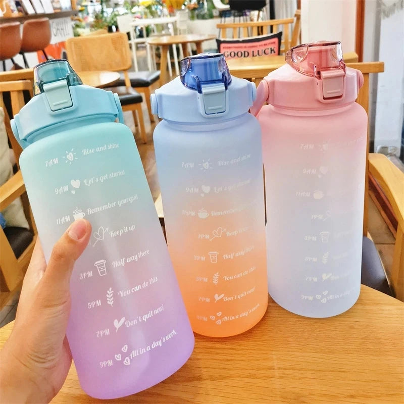 HydroTrack Water Bottle pink(750 ml)